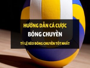 cá cược bóng chuyền sodo66